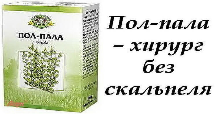 Пол пола эрва шерстистая. Цси трава пол-пала 50 г. Пол пала эрва шерстистая. Пол пала. Настой пол полы.