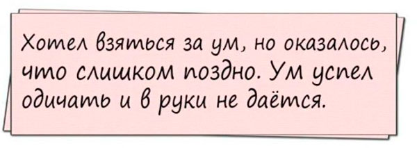 Есть что почитать, есть чему поулыбаться – масса позитива в одной подборке