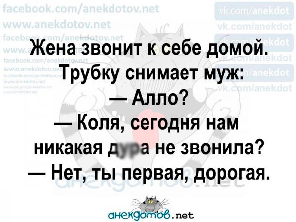 Есть что почитать, есть чему поулыбаться – масса позитива в одной подборке